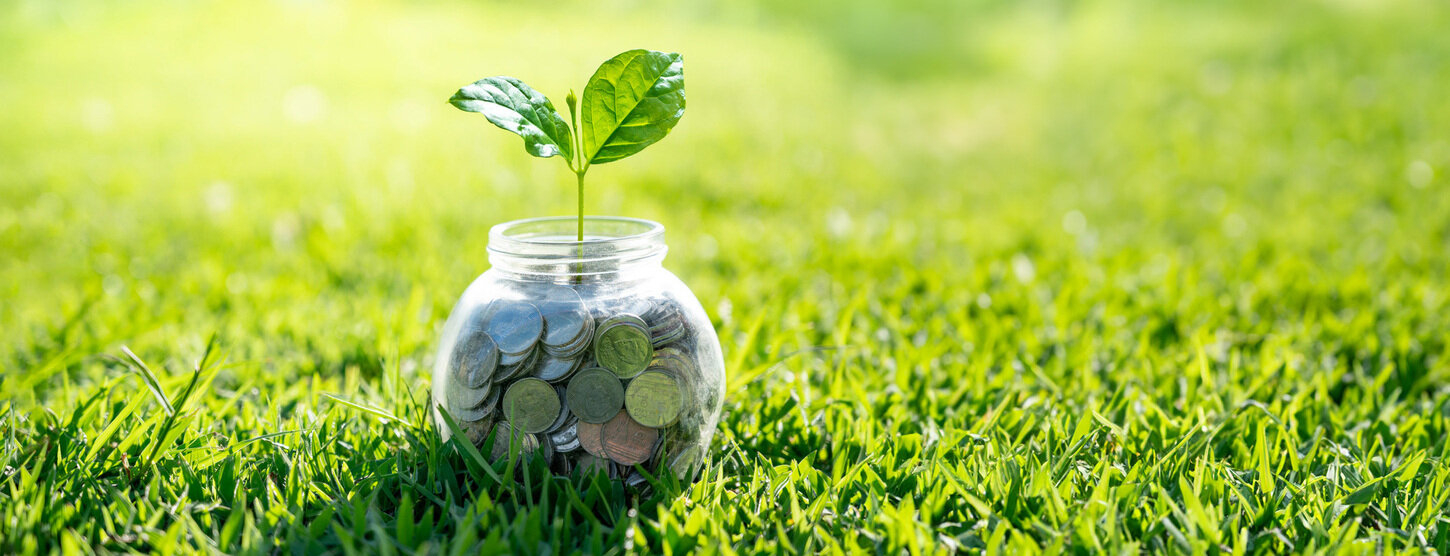 Ein rundes Glas gefüllt mit Münzen steht auf einer Wiese, darauf eine kleine Pflanze.