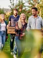 Junge Ehrenamtliche auf einer Obstplantage