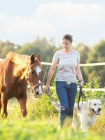 Eine Frau führt ein Pferd und einen Hund über ein Feld.