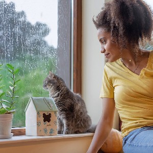 Eine junge Frau schaut mit ihrer Katze bei Regen aus dem Fenster.