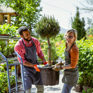 Ein Mann und eine Frau tragen gemeinsam einen Baum.