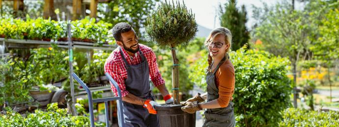 Ein Mann und eine Frau tragen gemeinsam einen Baum.