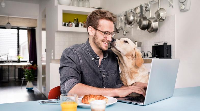 Ein Mann sitzt mit seinem Hund in der Küche an einem Laptop.