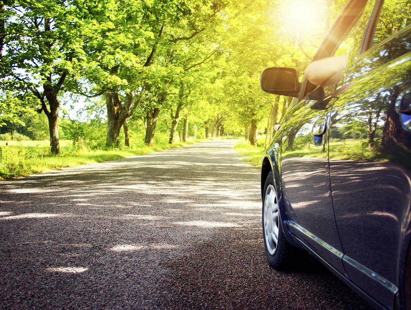 Auto fährt durch Allee.