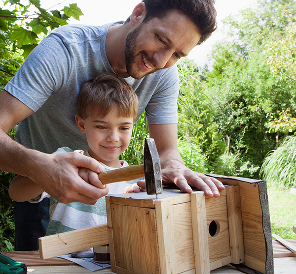 Ein junger Vater baut mit seinem Sohn ein Vogelhaus.