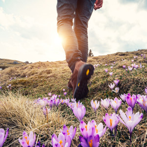 Eine Person wander auf einem Weg gesäumt mit Wildblumen.