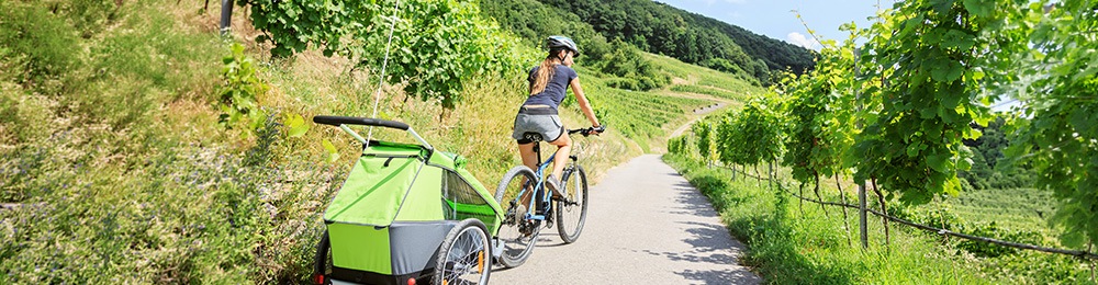 Junger Elternteil radelt mit Fahrradanhänger durch die Weinberge.