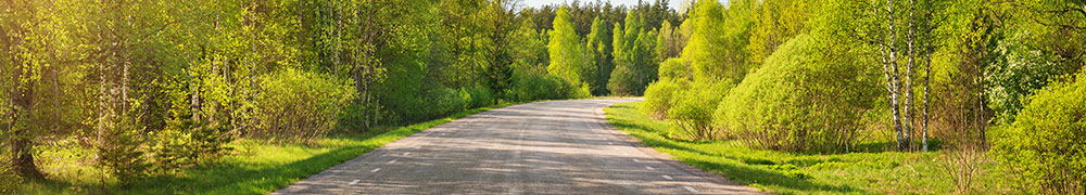 Eine Straße die durch einen Wald führt.